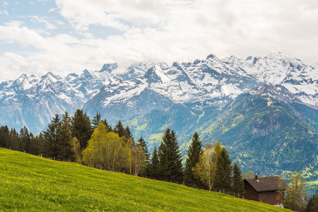 alpine chalet